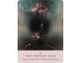 The Rose Pocket Oracle view 8