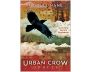 Urban Crow Oracle Card Deck