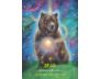 Archangel Animal Oracle Cards