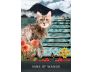 Grimalkin's Curious Cats Tarot