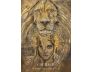 The Priestess of Light Oracle view 4