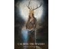 The Priestess of Light Oracle view 5