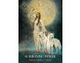 The Priestess of Light Oracle view 6