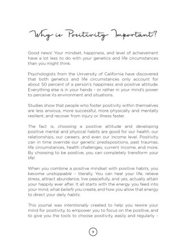 3 Minute Positivity Journal view 8