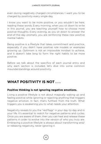 3 Minute Positivity Journal view 9