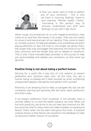 3 Minute Positivity Journal view 10