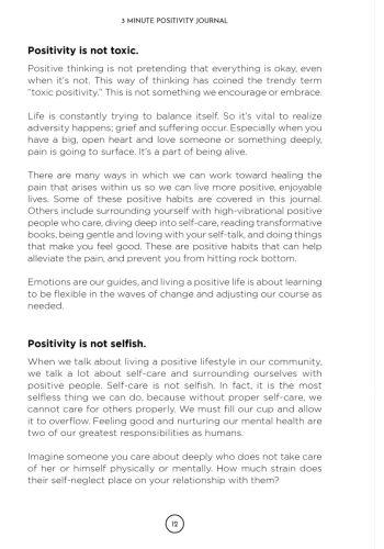 3 Minute Positivity Journal view 11
