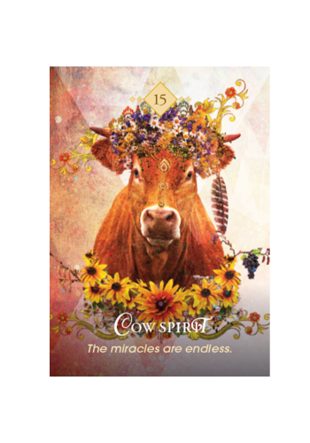The Spirit Animal Pocket Oracle view 5