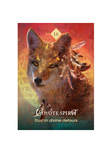 The Spirit Animal Pocket Oracle view 7