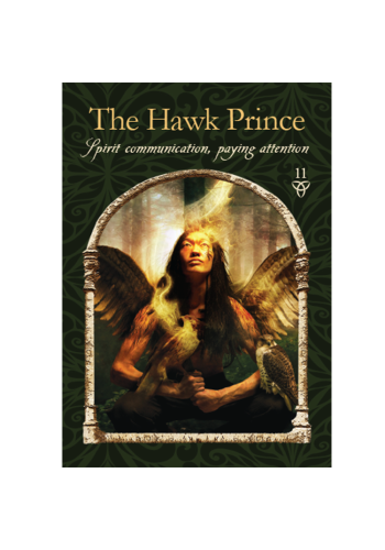 Wisdom of the Hidden Realms Oracle Cards view 5