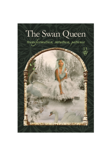 Wisdom of the Hidden Realms Oracle Cards view 7