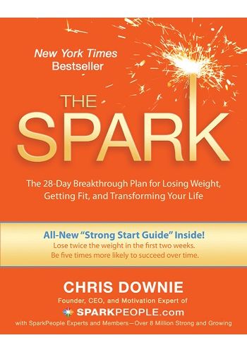 The Spark view 1