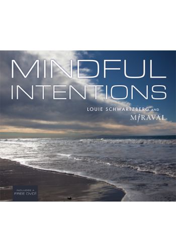 Mindful Intentions view 1