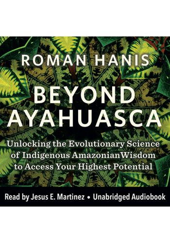 Beyond Ayahuasca view 1