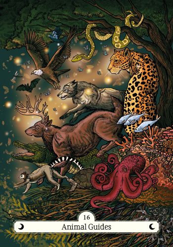 The Witch's Way Home Oracle view 9
