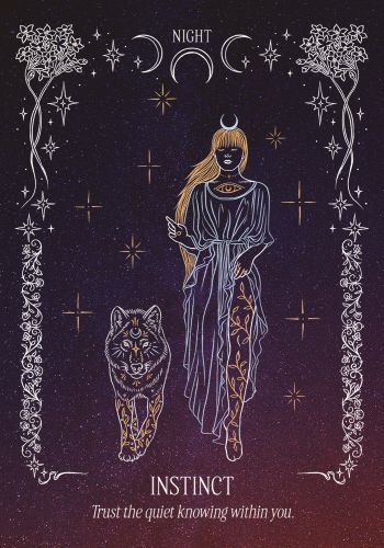 The Light in the Dark Oracle view 5