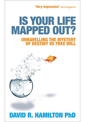 Is Your Life Mapped Out? view 1