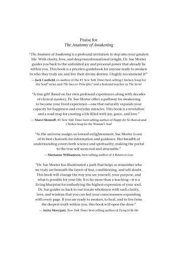 The Anatomy of Awakening view 7