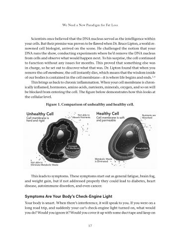 Metabolic Freedom view 6