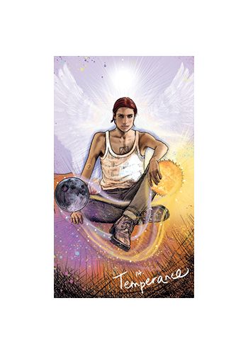 Light Seer's Tarot view 9