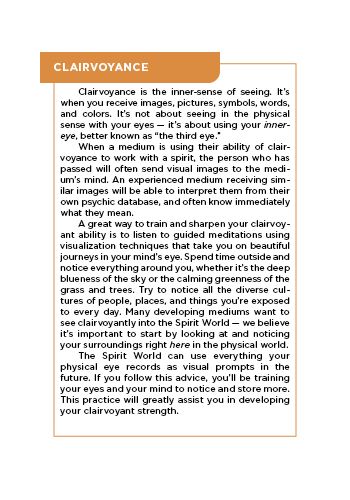 The Mediumship Training Deck view 4