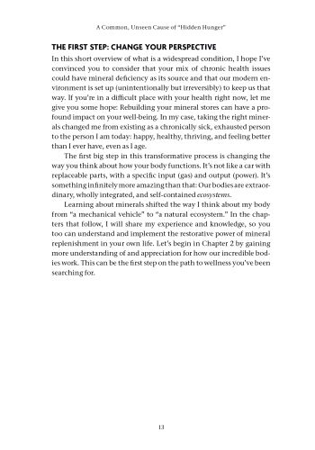 The Mineral Reset view 2
