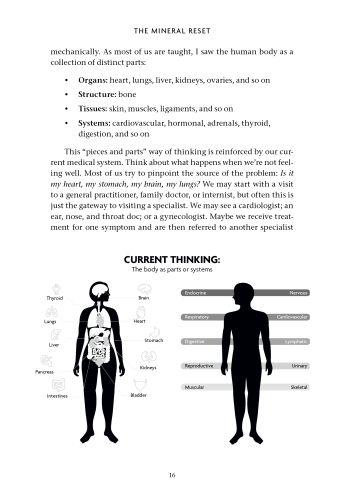 The Mineral Reset view 7