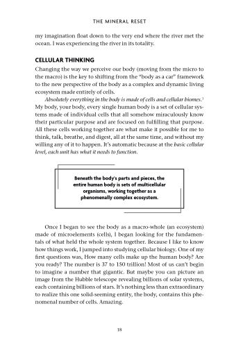 The Mineral Reset view 3