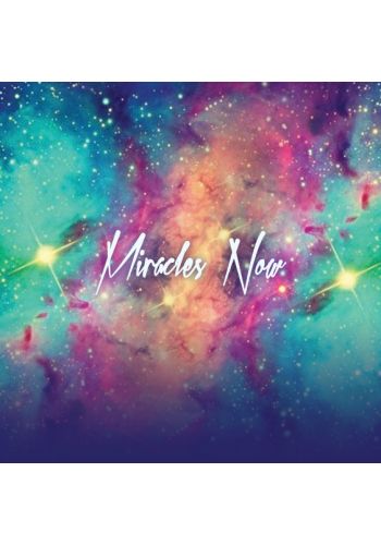 Miracles Now view 8