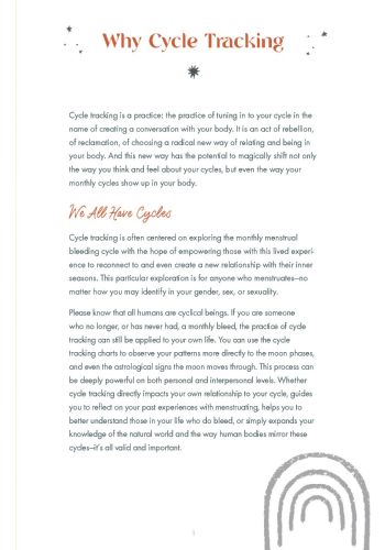 The Sacred Cycles Journal view 6
