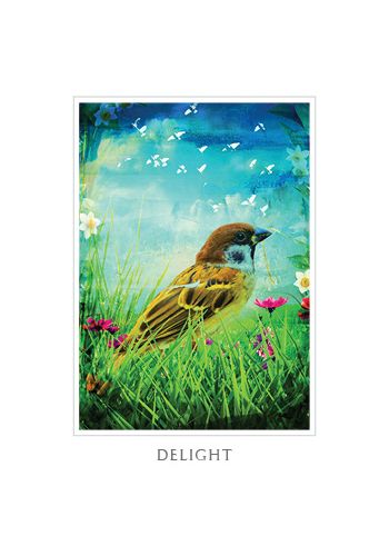 Sacred Destiny Oracle view 7