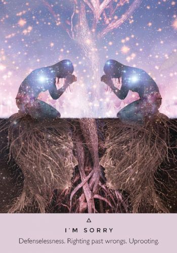 The Starseed Oracle view 6