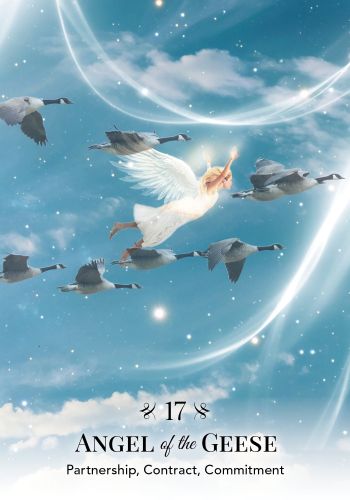 Always Connected view 4