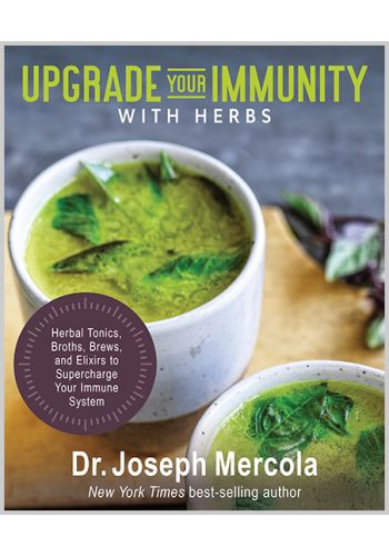 Upgrade Your Immunity with Herbs view 1