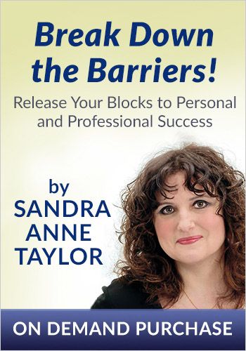 Break Down the Barriers! Release Your Blocks to Personal and Professional Success view 1