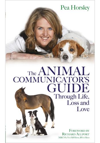 Animal Communicator's Guide Through Life