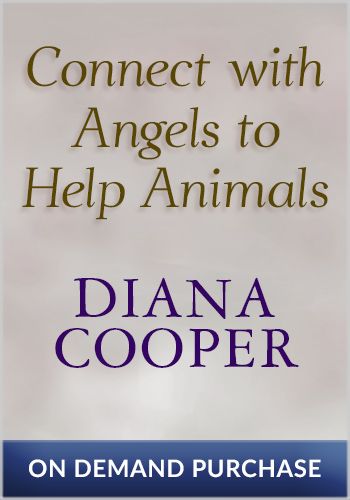Connect with Angels to Help Animals