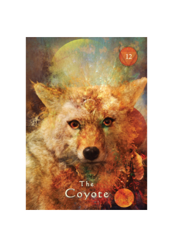 Mystical Shaman Pocket Oracle Cards view 4