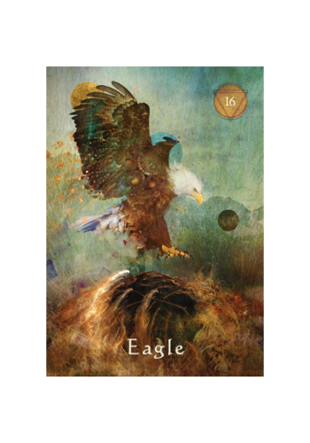Mystical Shaman Pocket Oracle Cards view 7