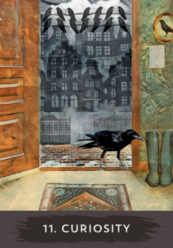 Urban Crow Oracle