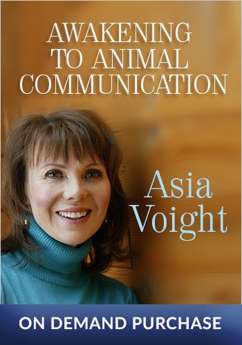 Awakening to Animal Communication view 1
