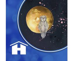 The Universe Has Your Back Cards App