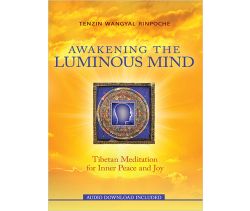 Awakening the Luminous Mind
