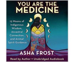You Are The Medicine Audiobook