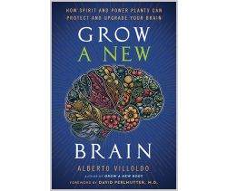 Grow a New Brain