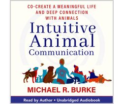 Intuitive Animal Communication