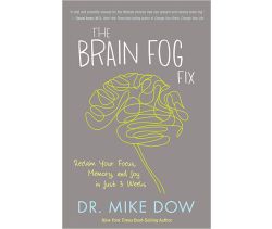 The Brain Fog Fix