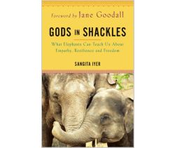 Gods in Shackles
