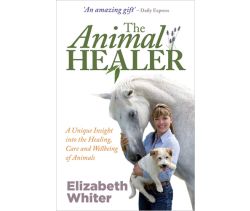 The Animal Healer