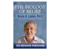 The Biology of Belief: The Science of How You Create Your Life